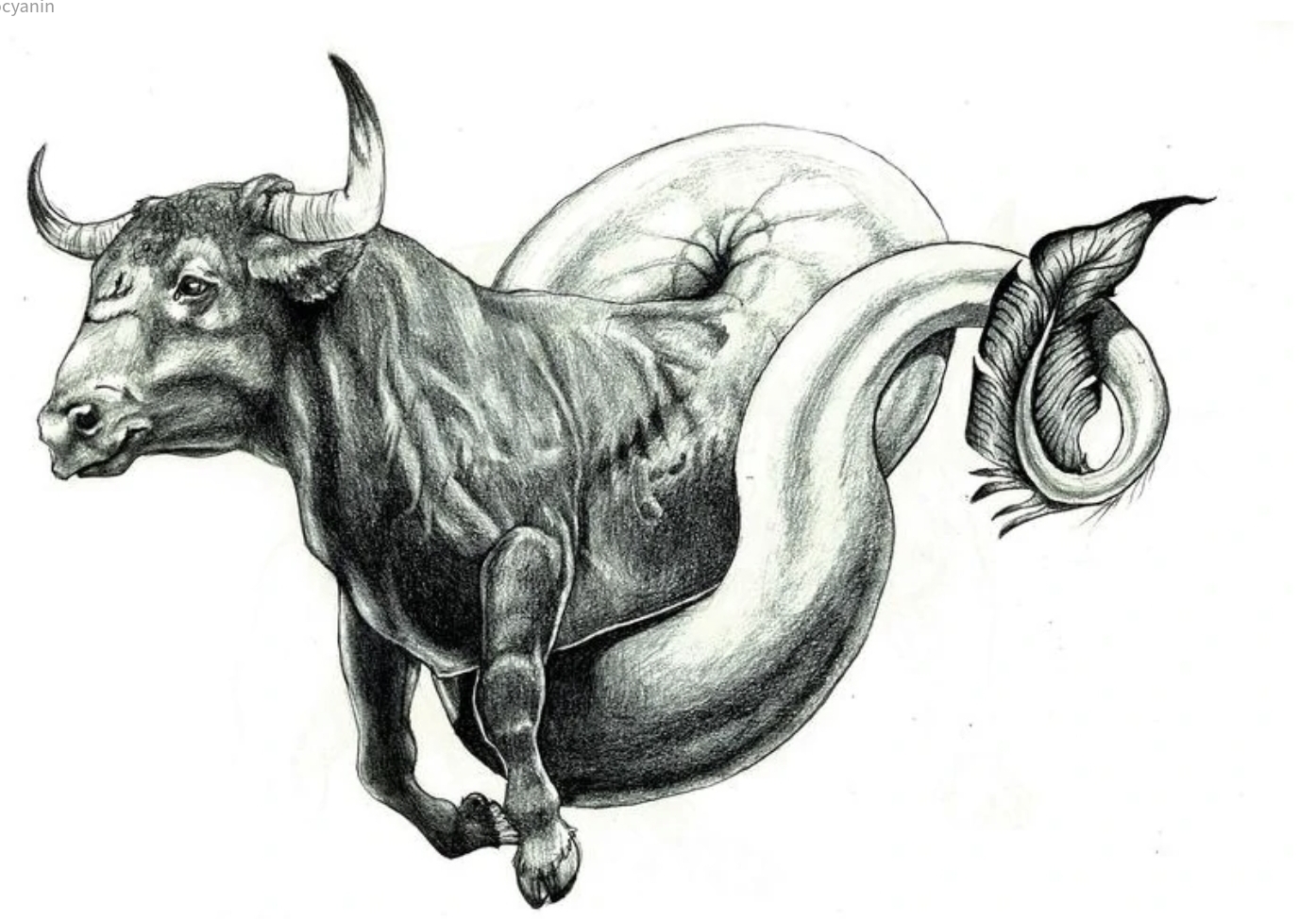 Мифическое существо колхидский бык